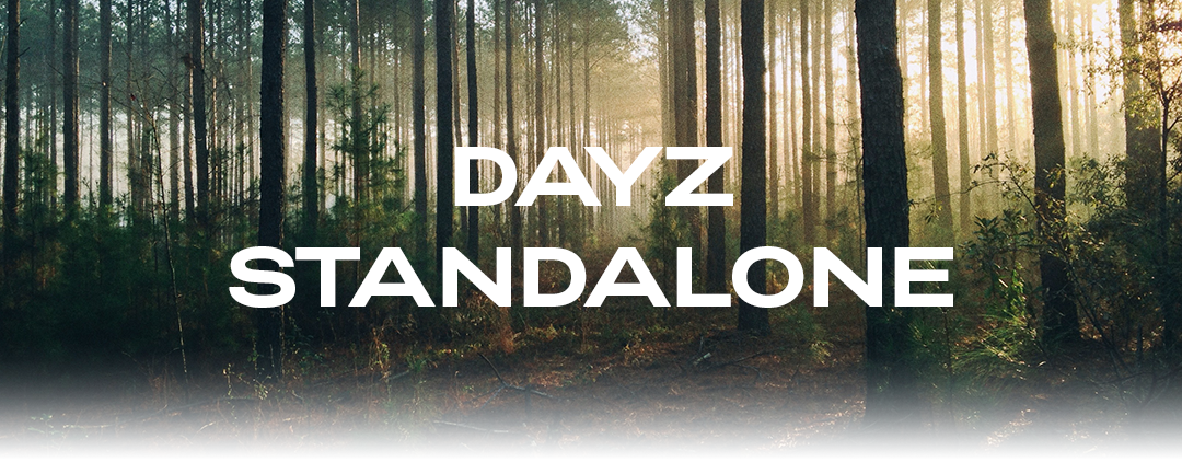 dayz_category_image.png